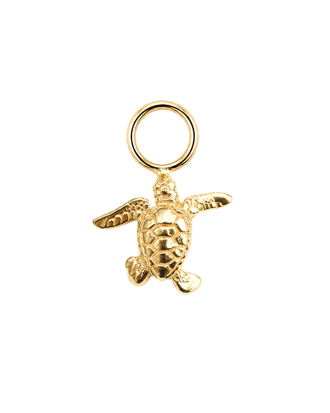 Hawksbill Charm 1