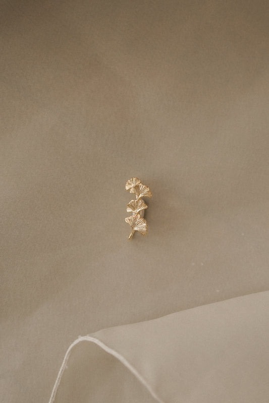 Ginkgo Earclimber