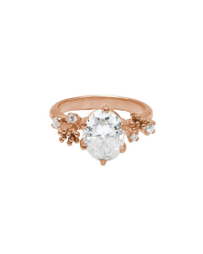 Benih Ring