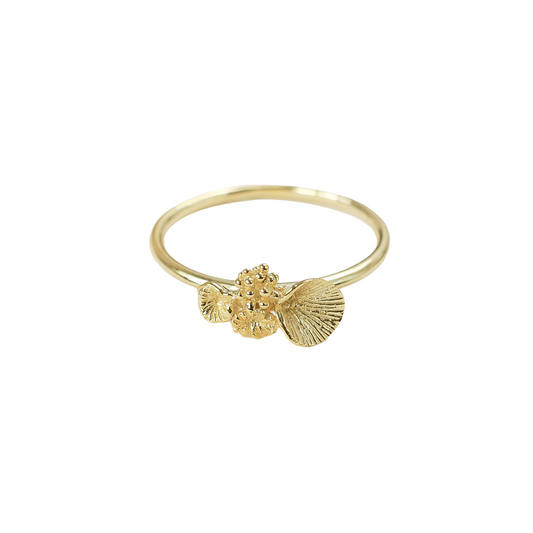 Coral Ring 4