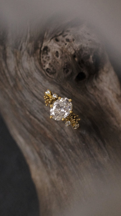 Benih Ring