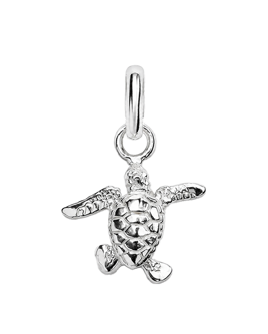Hawksbill Pendant 1