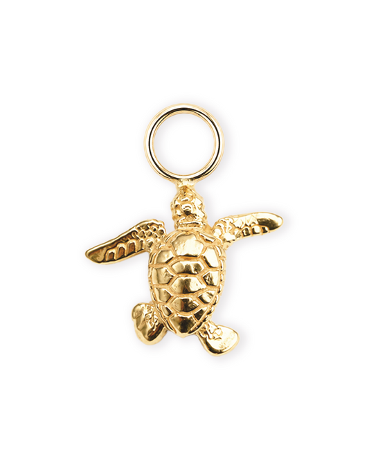 Hawksbill Charm 1