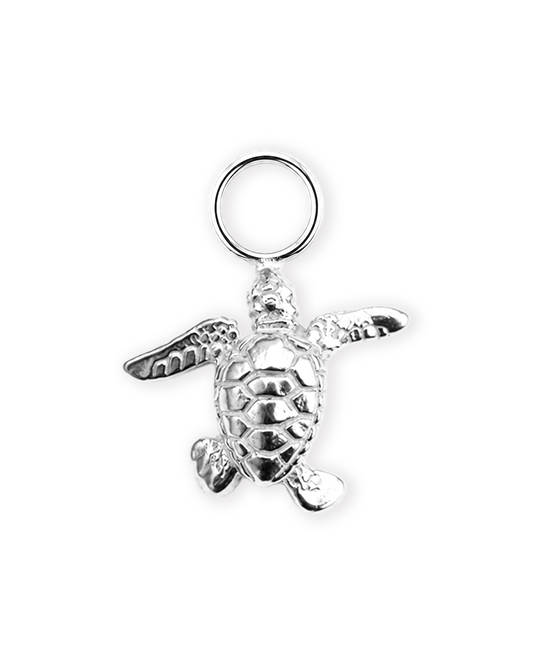 Hawksbill Charm 1