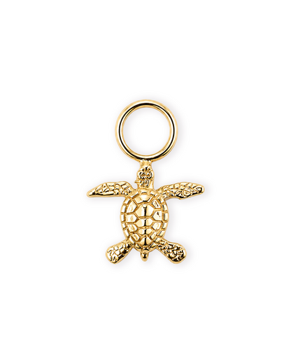 Hawksbill Charm 2