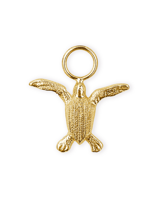 Leatherback Charm 2