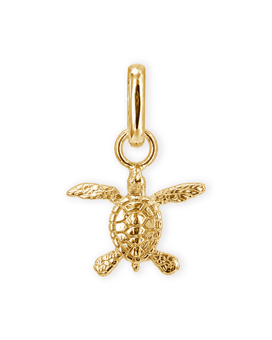 Hawksbill Pendant 2